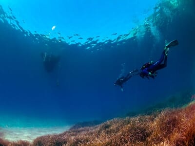 Stage de Plongée à Menton - Niveau 1 FFESSM ou Open Water Diver SSI