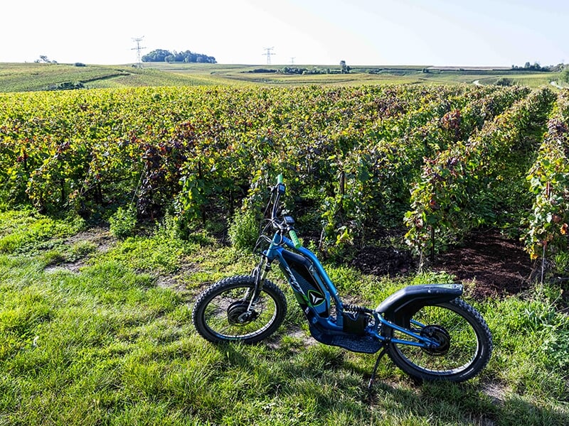 Une trottinette électrique à l'arrêt devant une parcelle de vigne.
