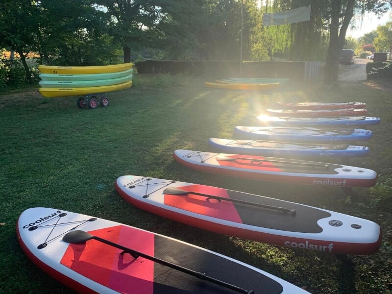 Paddles colorés alignés sur une pelouse verdoyante, baignés par la lumière du matin, avec des arbres en arrière-plan.
