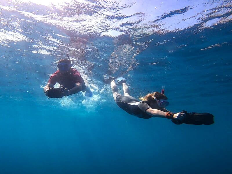 Deux plongeurs en combinaison noire explorent les fonds marins clairs près de Cap d'Ail en Provence-Alpes-Côte d'Azur.
