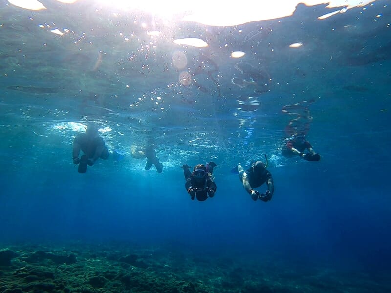Groupe de plongeurs en combinaison noire nageant sous la surface de l'eau avec le soleil brillant au-dessus.