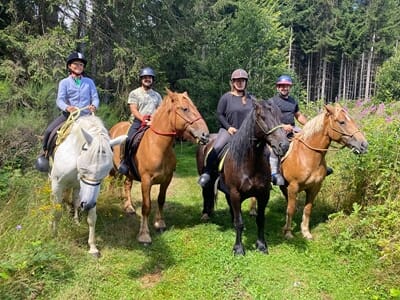 Balade à Cheval près de Saint-Étienne - Doranges