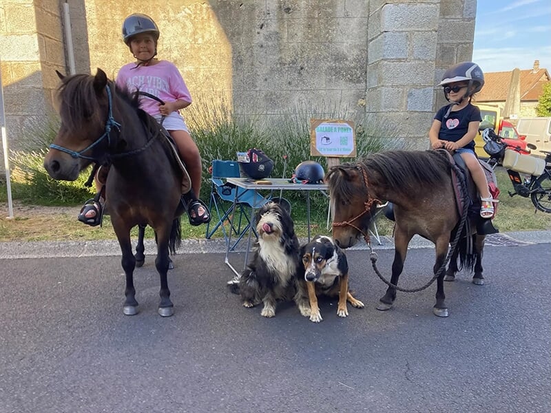 Deux enfants portant des casques d'équitation montent des poneys sous le regard de deux chiens dans une ville 
