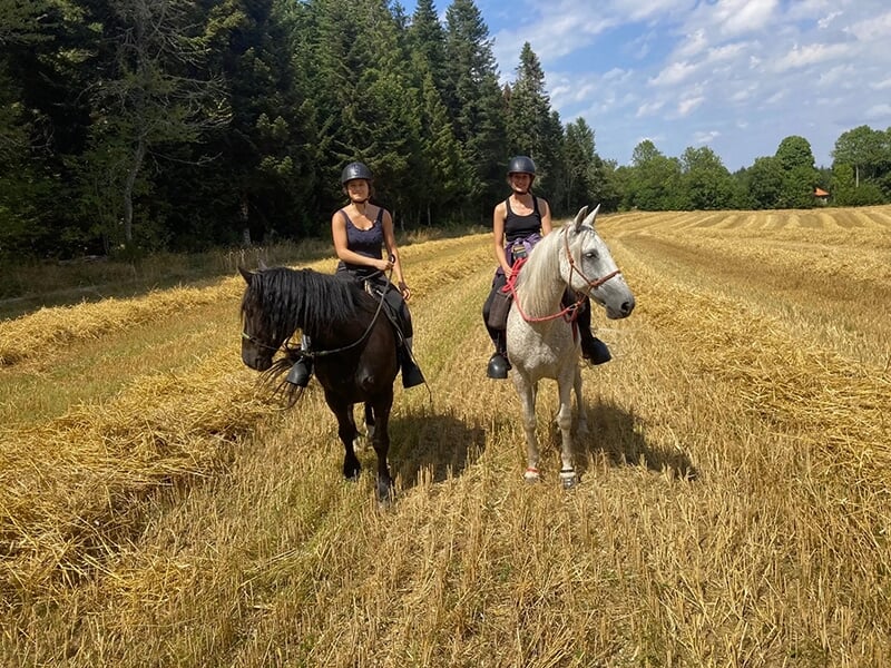 Deux cavalières sillonnent la campagne à cheval et traverse un champ qui vient d'être moissonné