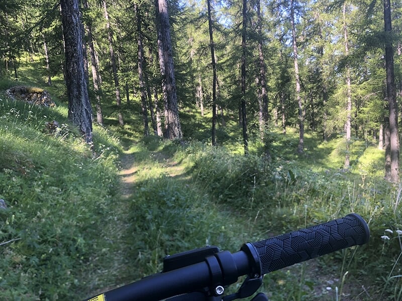 Le guidon d'un VTT sur un sentier forestier des Alpes du Sud