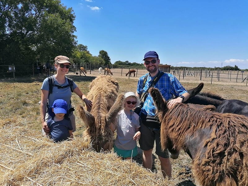 Une famille de quatre personnes posent devant des ânes du Poitou dans un enclos par une bel journée ensoleillée