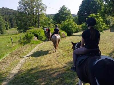 Balade à Cheval près de Gérardmer - Le Tholy