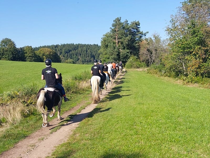 Des touristes à cheval suivent un sentier forestier en file indienne