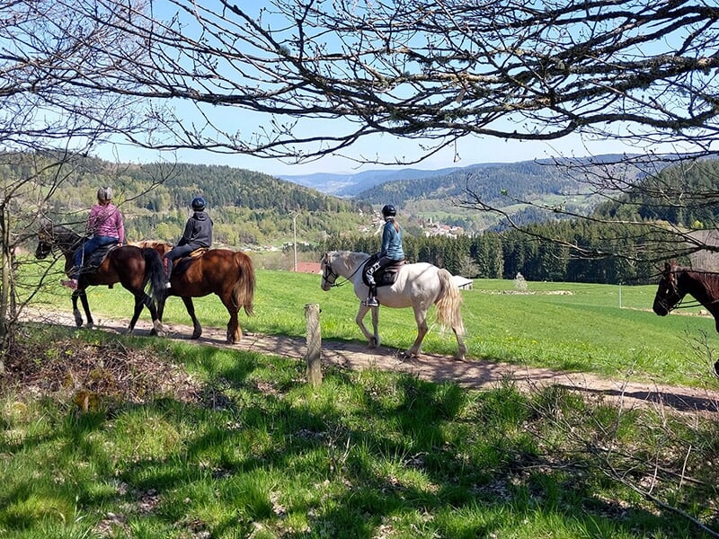 Une groupe de cavaliers progressent sur un sentier champêtre dans les Vosges.