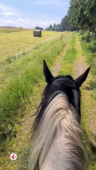 Balade à Cheval près de Gérardmer - Le Tholy