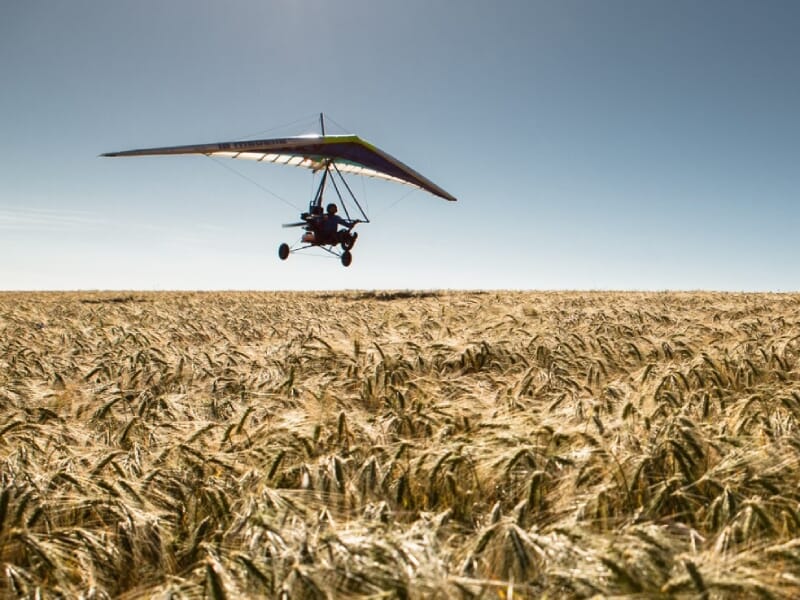 ULM volant bas au-dessus d'un champ de blé doré, sous un ciel clair, les ombres projetées sur les épis ondulant doucement avec le vent, évoquant la liberté et l'aventure en pleine nature.