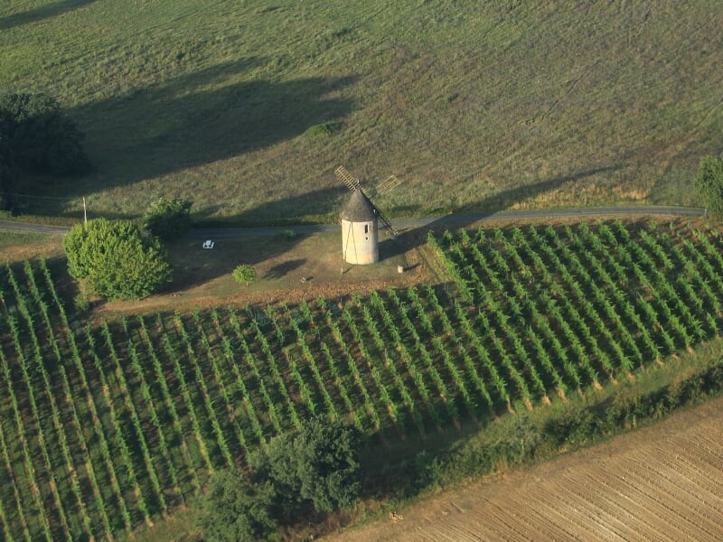 Vue aérienne d'un paysage rural avec un moulin à vent ancien entouré de vignes bien alignées. Le terrain est divisé en parcelles, avec des arbres et des routes visibles à l'arrière-plan, sous une lumi