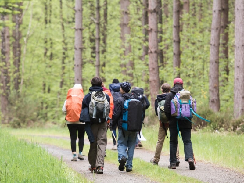 Groupe de randonneurs marchant sur un chemin forestier, portant des sacs à dos.