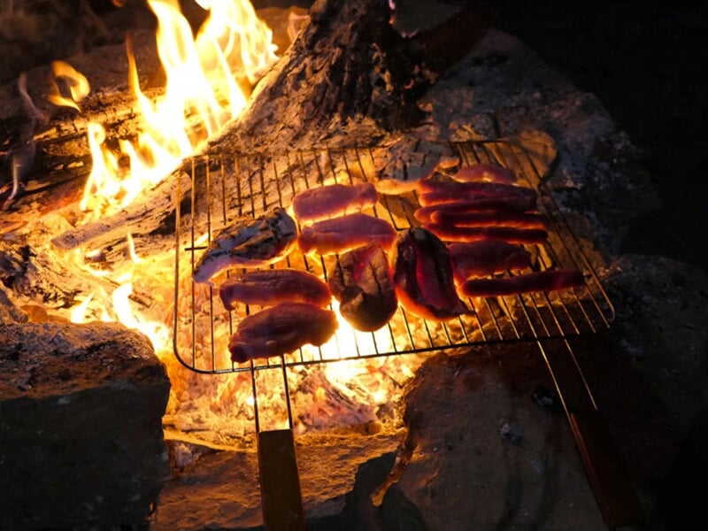 De la viande cuit sur une grille de barbecue sur un feu de camp