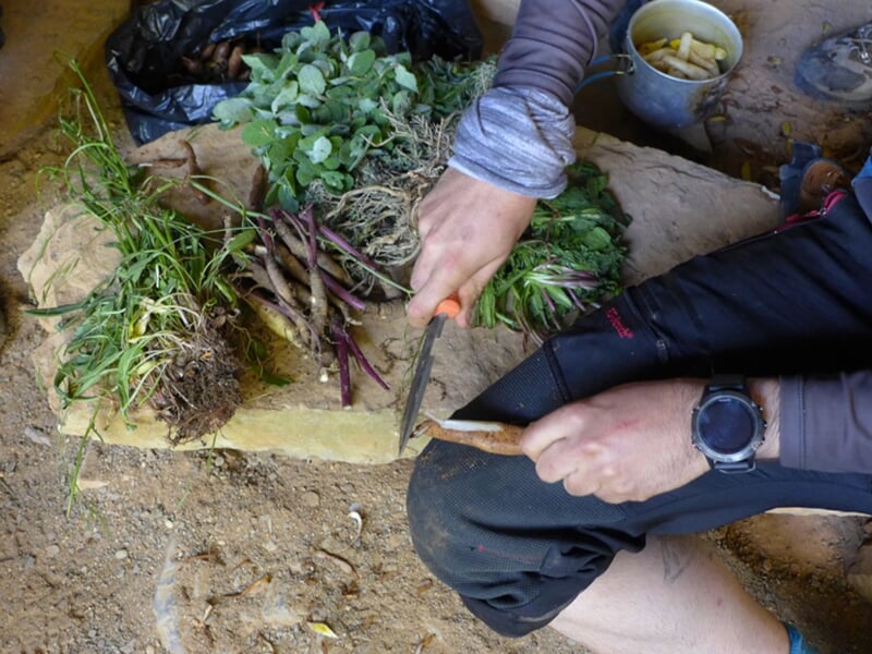 Un homme cuisine des plantes sauvages pendant un stage de survie en pleine nature