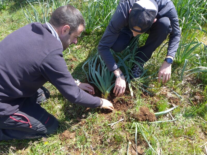 Les participants d'un stage de survie apprennent à se nourrir dans la nature