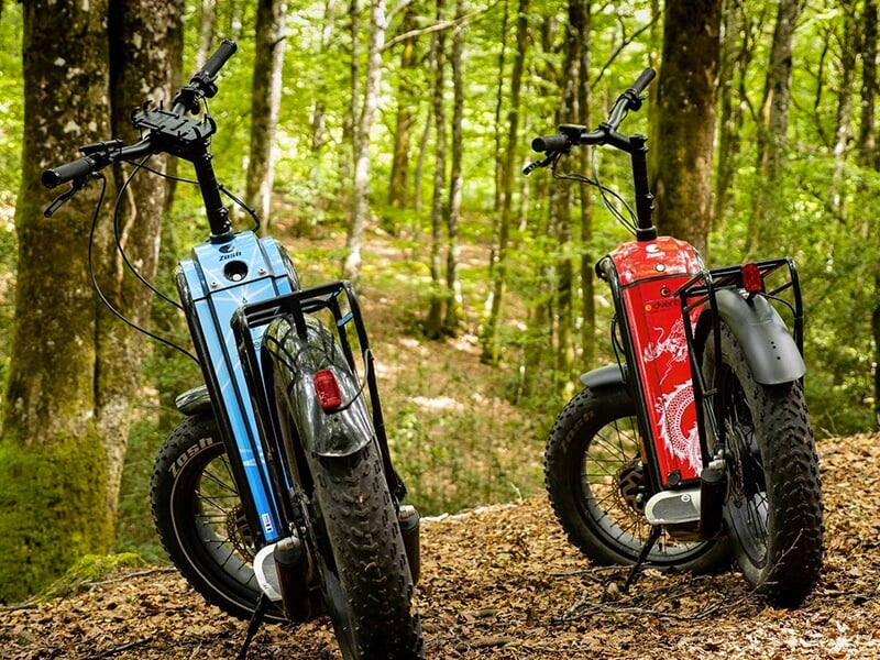 Deux trottinettes électriques tout-terrain garées dans une forêt, l'une bleue et l'autre rouge, entourées de végétation.