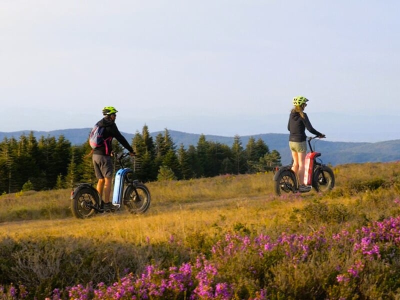 Deux personnes roulant sur des trottinettes électriques tout-terrain dans un paysage de montagne parsemé de fleurs violettes.