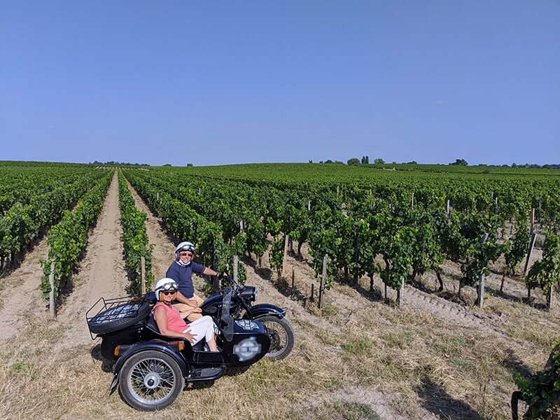 Un couple sur une moto avec side-car noir dans un vignoble avec des rangées de vignes à perte de vue