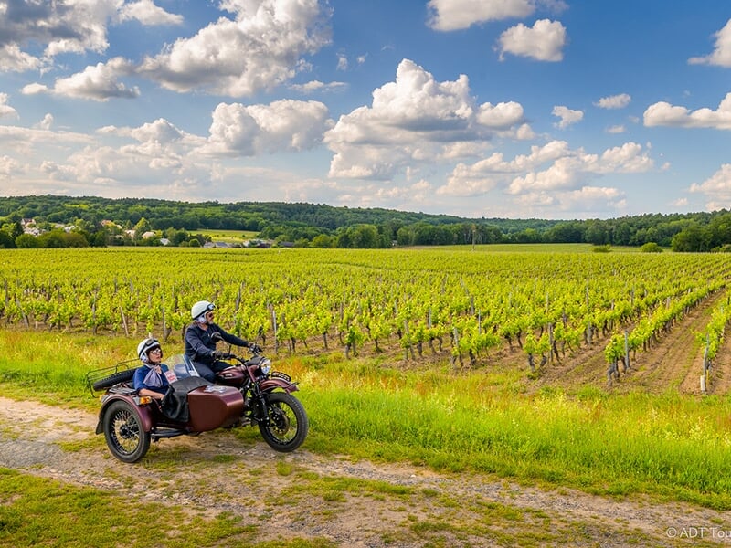 Une moto avec side-car marron traversant un chemin en terre entouré de vignobles verdoyants, sous un ciel bleu avec de nombreux nuages blancs.