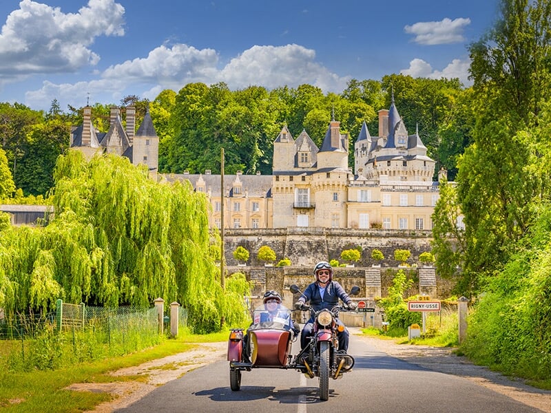 Un duo en side-car marron roulant sur une route bordée d'arbres, avec en arrière-plan un grand château de conte de fées entouré de forêts verdoyantes.