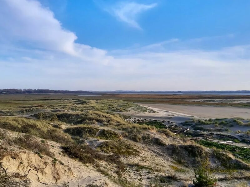 Étendue de dunes et de sable avec une vue dégagée sur des zones marécageuses et un ciel bleu.