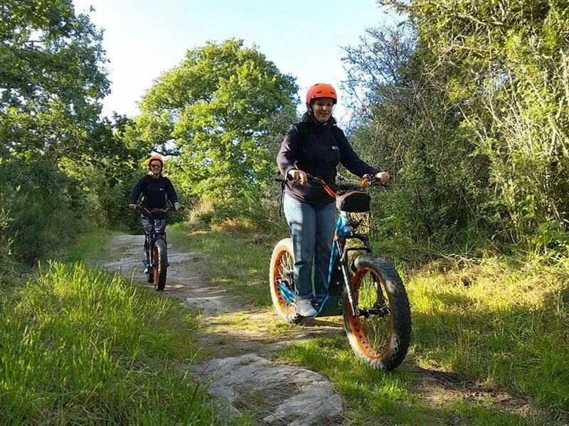 Deux personnes en trottinettes électriques tout-terrain sur un sentier boisé, entourées de végétation verte.