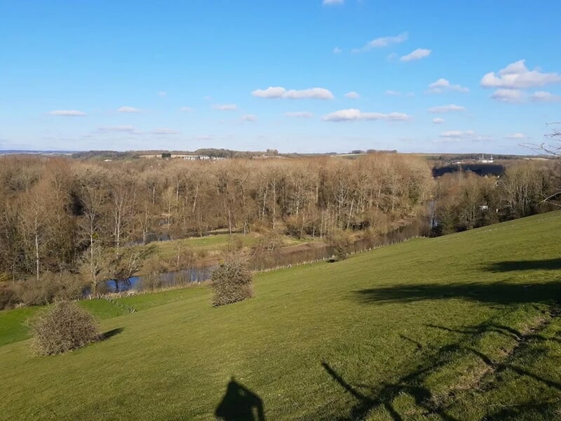 Vue panoramique d’une prairie verdoyante bordée par une forêt avec un ciel bleu clair.