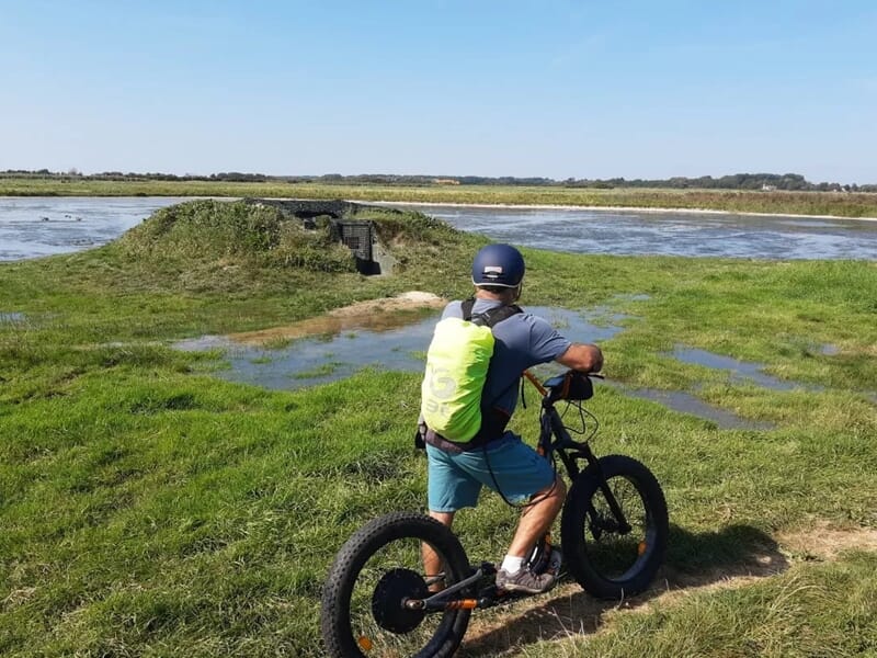 Une personne seule en trottinette électrique observant une zone marécageuse avec une étendue d'eau à l’arrière-plan.