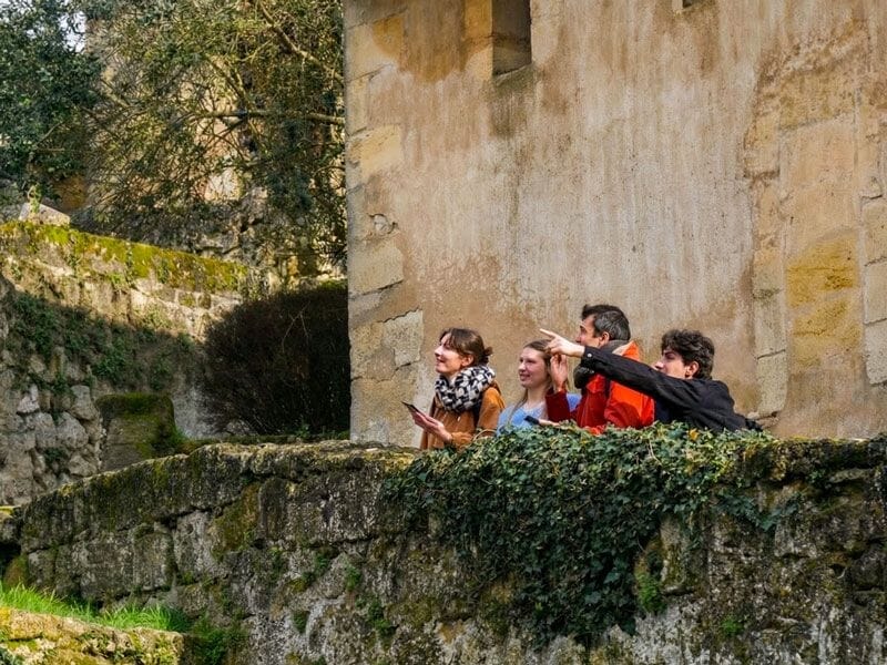 Groupe de quatre personnes observant et discutant en extérieur près d'un mur recouvert de lierre.