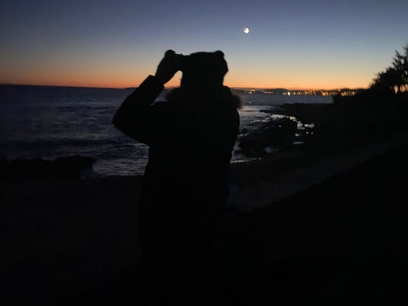 Personne observant le ciel durant la nuit