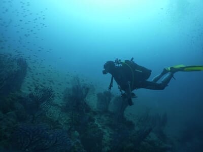 Stage de Plongée Sous-Marine à Nice
