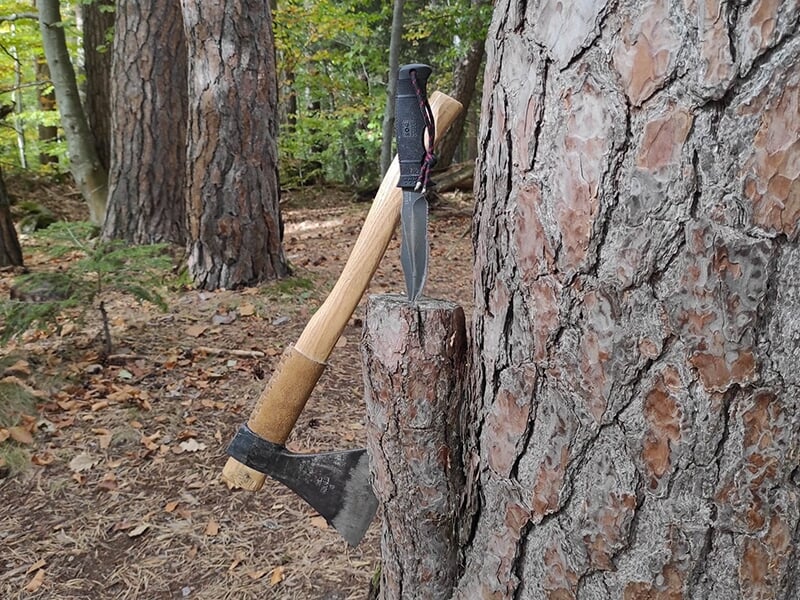 Une hache en bois et un couteau de survie sont plantés dans un tronc d’arbre en pleine forêt.
