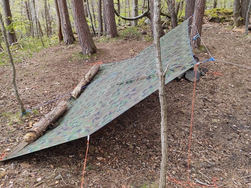 Un abri de survie fait d’une bâche camouflage tendue entre des arbres, fixé avec des cordes et maintenu par des rondins de bois.