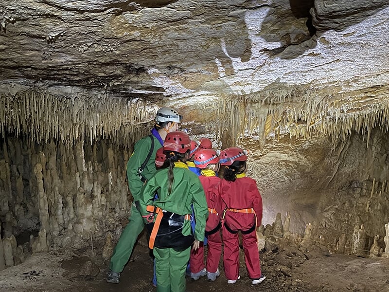 Un groupe d'enfants et un guide explorent une cavité souterraine, observant avec curiosité des stalactites fines et denses accrochées au plafond de la grotte.