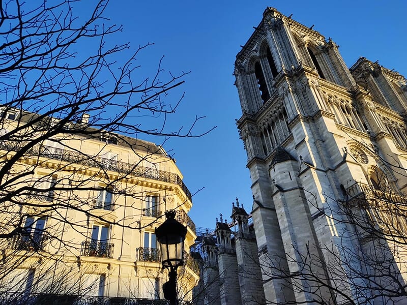 Vue latérale de la cathédrale Notre-Dame sous un ciel bleu, encadrée par des branches et un immeuble haussmannien.