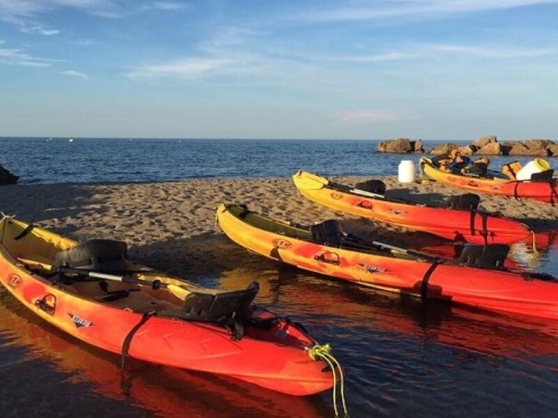 Plusiuers kayaks sur la plage alignés face à la mer