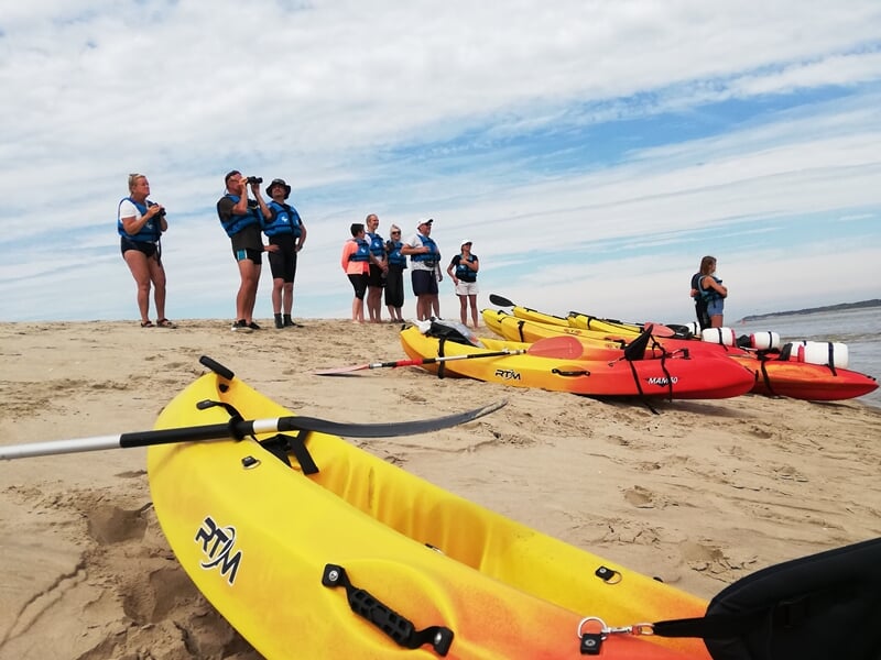 Un groupe de personne et de kayaks sur la plage
