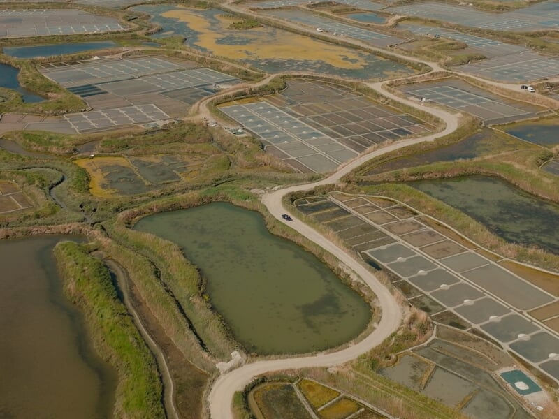 Parc naturel régional de Brière vu du ciel