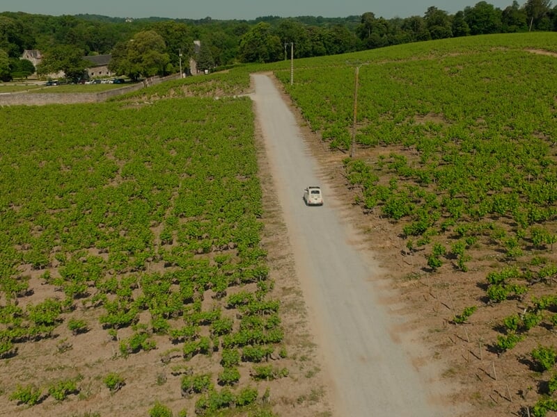 Fiat 500 sur une route de campagne