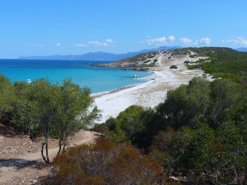 Point de vue sur la mer turquoise et la plage blanche, avec des arbres