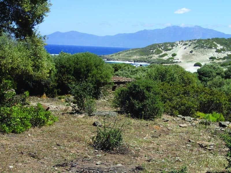 Nature corse avec des buissons, la mer et des montagnes au loin