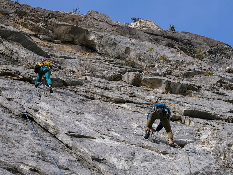 Personnes en escalade sur une grande paroi rocheuse, vue en contre-plongée.