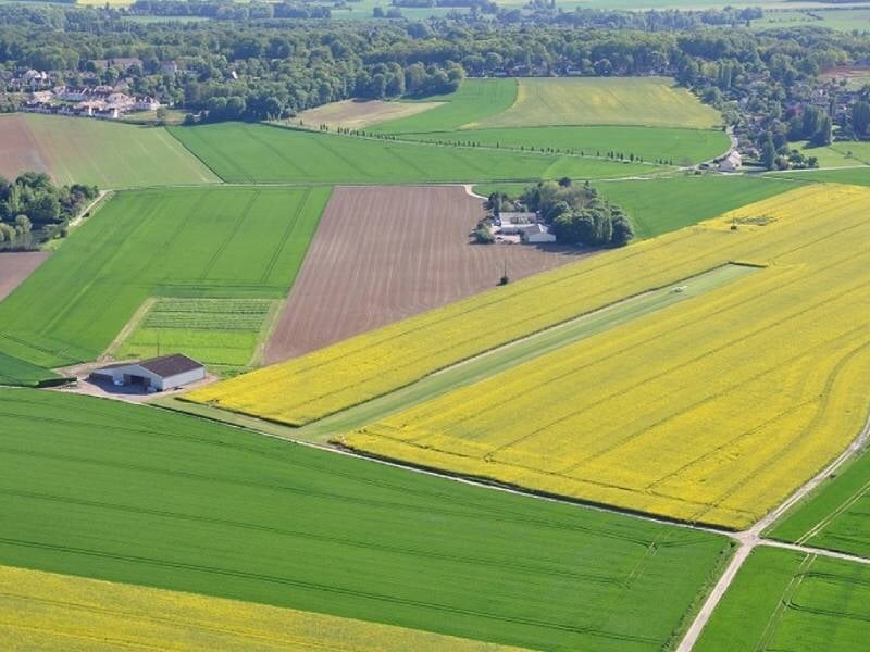 Vue sur les champs verts et jaunes
