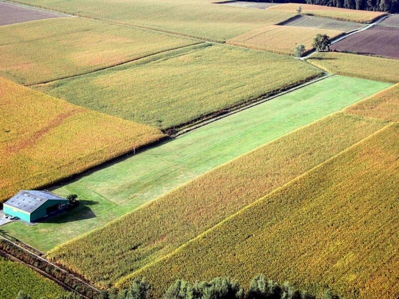 Champs verts et jaunes vus depuis les airs