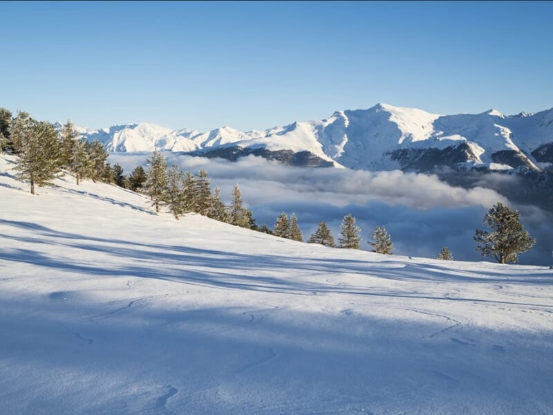Forêt de pins sur une pente enneigée, avec les montagnes en arrière-plan