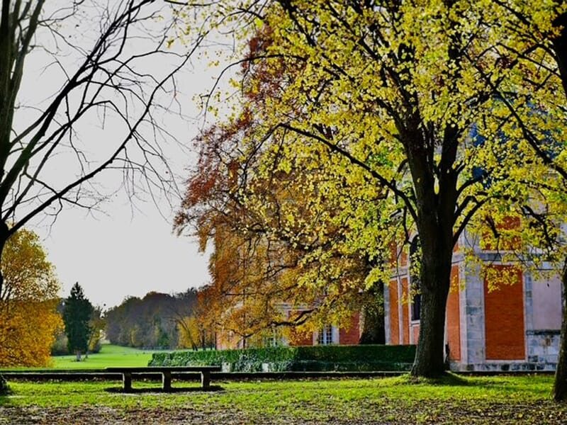 Allée bordée d’arbres aux feuilles dorées en automne, avec un bâtiment en briques et un banc en bois au premier plan.