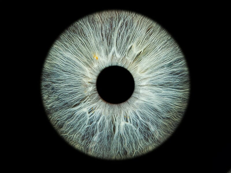 Gros plan sur un iris humain bleu-gris avec des détails complexes et un centre noir circulaire net.