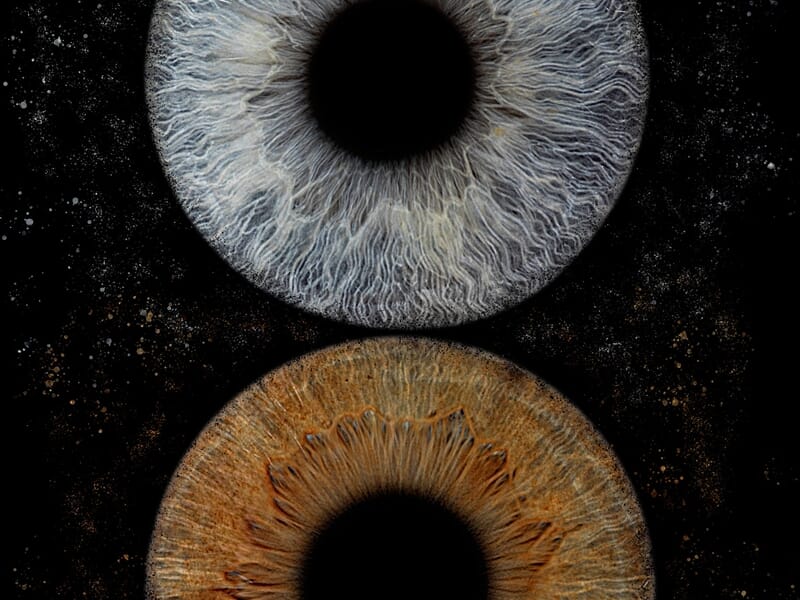 Portrait artistique de deux iris superposés verticalement sur fond noir étoilé