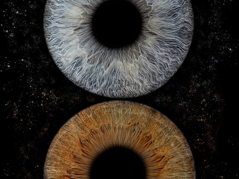 Portrait artistique de deux iris superposés verticalement sur fond noir étoilé